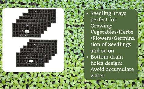 4K Agro Plastic Seedling Nursery Pro Tray Pack of 10 (50 Holes ...