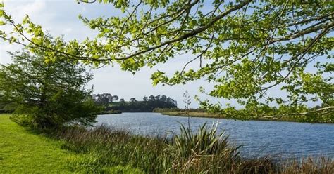 6 Top Rivers In Auckland For A Reviving Holiday Experience!