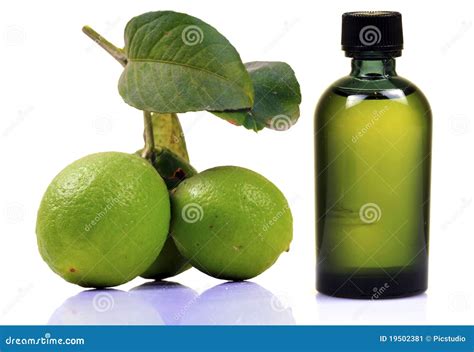 Lime and juice bottle stock image. Image of fruit, green - 19502381