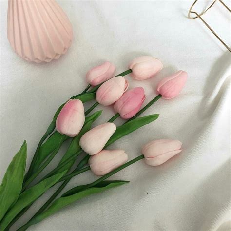 ʚ♡ɞ pinterest ⇢ @cosmicgoth | Pink tulips, Flower aesthetic, Tulips flowers