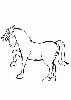 pferde ausmalbilder klein ausmalbilder kleines pony pferde malvorlagen pferde ausmalbilder klein ausmalbilder kleines pony pferde malvorlagen