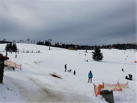 ZIELENIEC SKI ARENA (2026) All You Need to Know BEFORE You Go (with ...