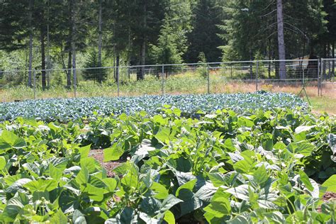 Cedar Creek Gardens | Sustainability in Prisons Project