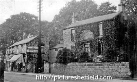 Searching Picture Sheffield