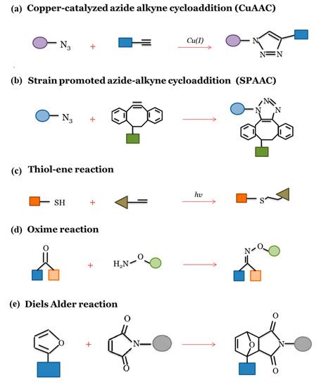Smart ECM-Based Electrospun Biomaterials for Skeletal Muscle Regeneration