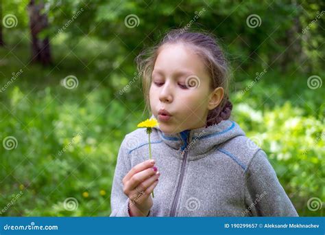 Little Girl Blowing on a Dandelion Stock Image - Image of pretty ...