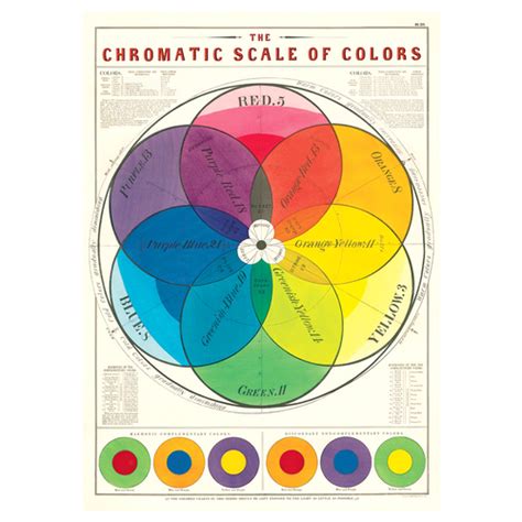 Fastest Chromatic Scale Ever 的图像结果