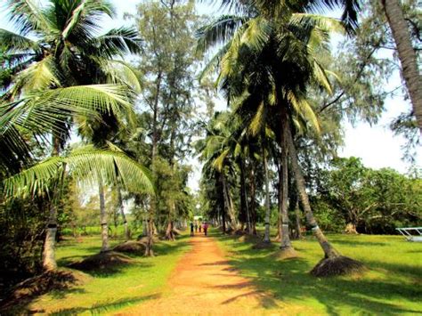 Sand Pebbles Bhitarkanika Jungle Resorts (Bhitarkanika National Park ...