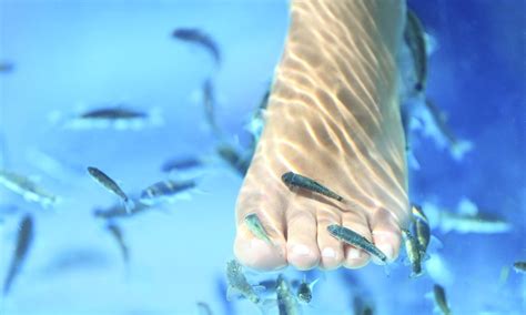 Grand Rapids, MI Deals, Coupons & Discounts | Groupon