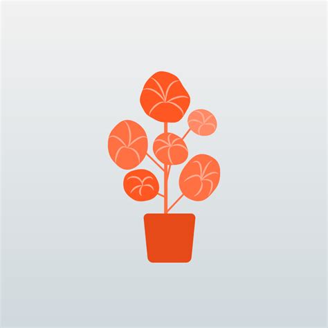 Low Code API Connection 的图像结果