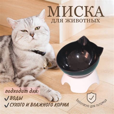 Миска для кошек и собак с наклоном,280мл - купить с доставкой по ...