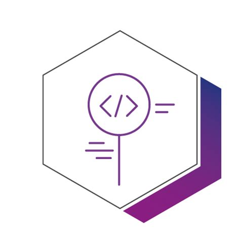 Image result for API Secirity Icon