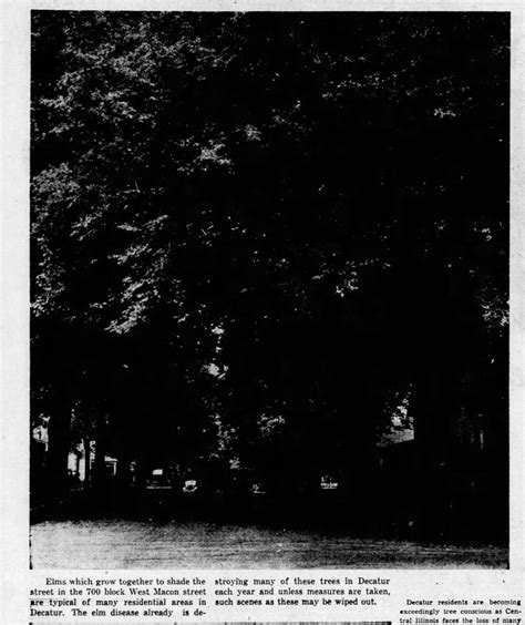 Decatur IL Then and Now 的图像结果