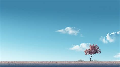 Image result for Download Desktop Background