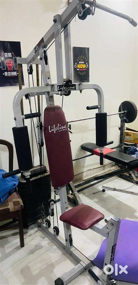 Complete Home Gym Bundle: Treadmill, Multi-Gym, Benches, Dumbbells et ...