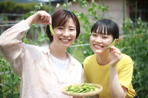 Pea Peptide - One Stop Solution for Cosmetic & Personal Care Raw Material