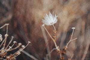 Everything in Life Is Art Quote Helena 的图像结果