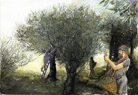 Ancient Roots, Modern Flavours: The Legacy of Olive Oil Through the Centuries | European ...