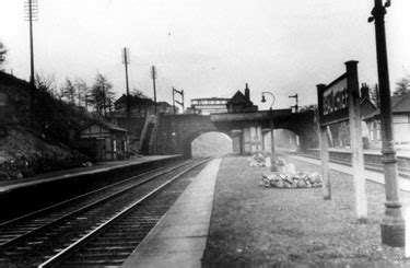 Searching Picture Sheffield