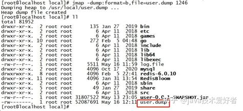 Script Dump 的图像结果