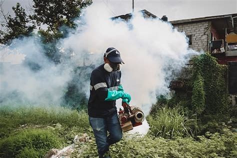 Dos muertos y 4.506 infectados de dengue en Ecuador, alerta Ministerio ...