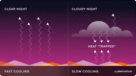 Image result for Types Fog