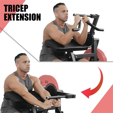 Seated Tricep Press Machine
