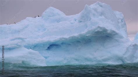 Antarctica 的图像结果