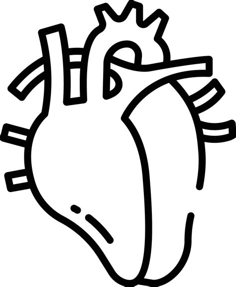 Outline of a heart
