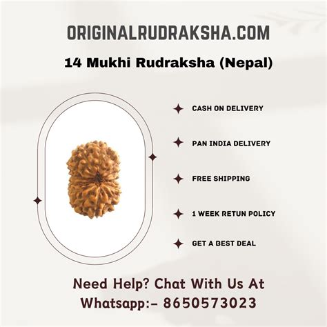 Buy 14 Mukhi Rudraksha Original | The Obstacles Remover – Original ...