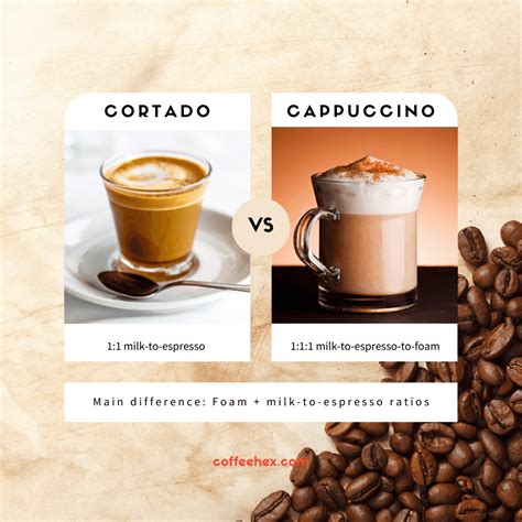 What Is A Cortado Coffee & How To Make One | 2024 Expert Guide