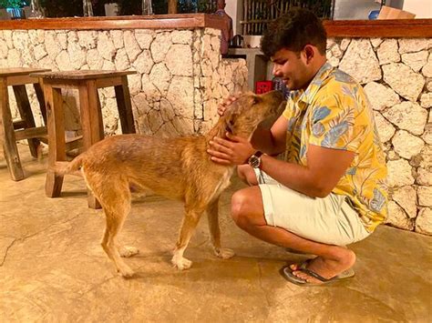 MITI BEACH BUNGALOWS (Nungwi) - Lodging Reviews, Photos, Rate ...