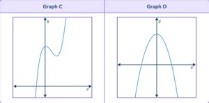 Cubic Function Graph Grade 12 Maths 的图像结果