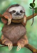 Image result for Cute Baby Sloth Hug