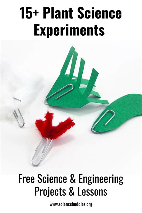 Image result for Plant Science Class U of S Lab Help