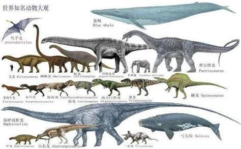 古生物图谱(恐龙类)_word文档在线阅读与下载_文档网