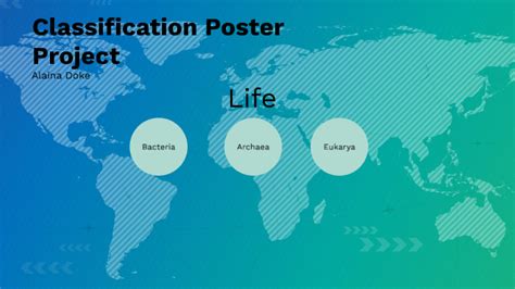 Image result for Classification Object Poster