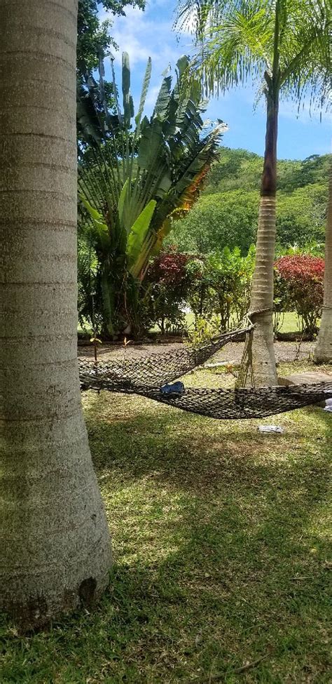 CHAZAL ecotourisme (Chamouny) - 2019 What to Know Before You Go (with ...