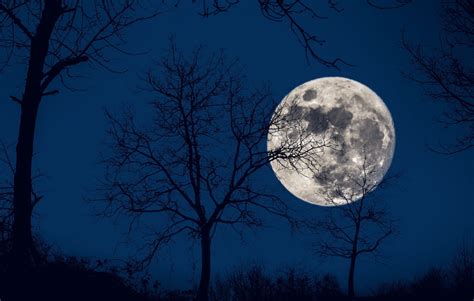 Image result for Moon Pool Tutorial Minecraft