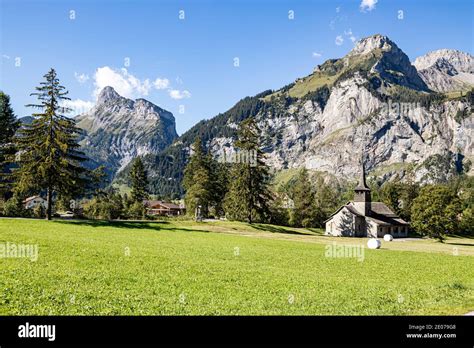 Alps Encoder 的图像结果