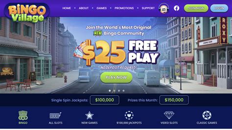 bingo 101 review,In this Bingo 101 review