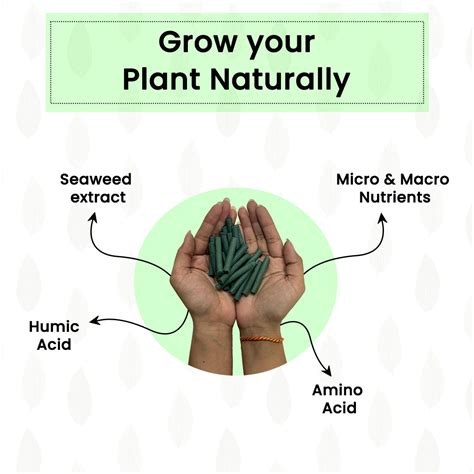 Products – Plantify Garden