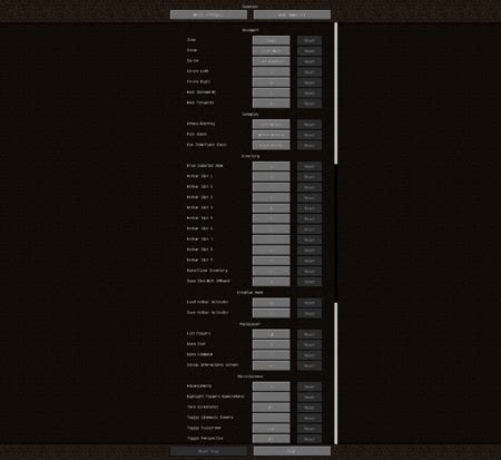 Import Settings Minecraft Java 的图像结果