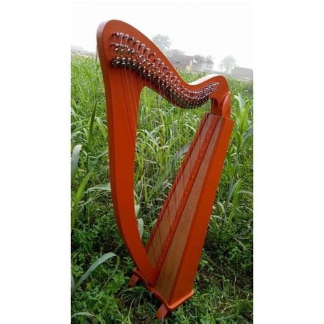 Image result for 22 String Harp