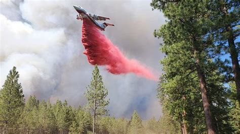 Image result for Bootleg Fire Behavior