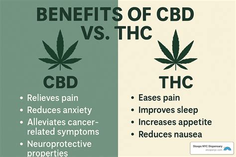 Benefits of CBD vs THC