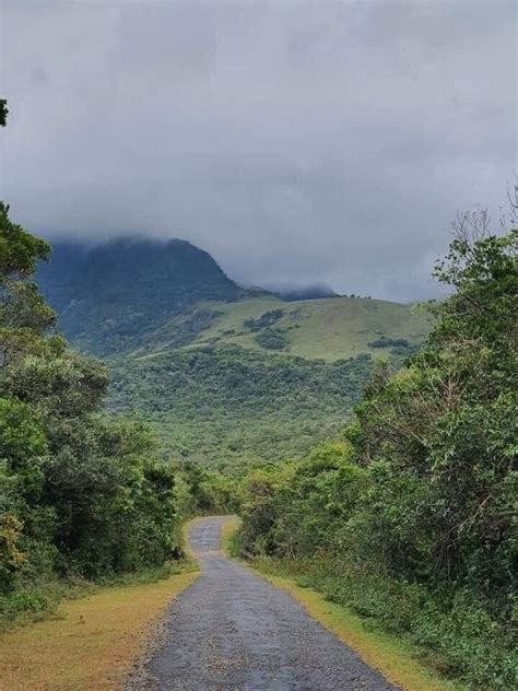 Image result for Mathale Driving Photos