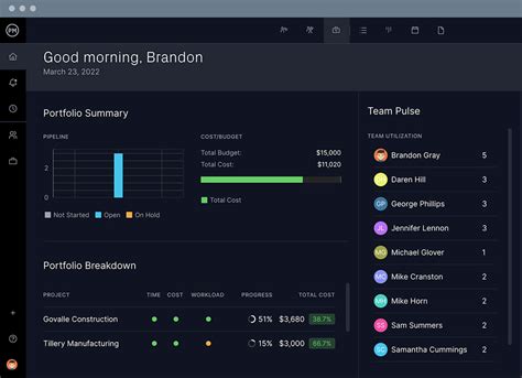Image result for Project Portfolio Management Software