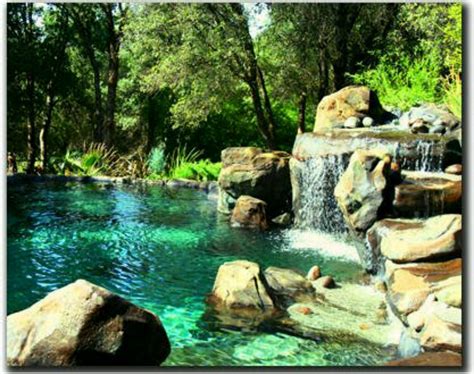 Natural inspired pool | Swimming pond, Natural pool, Backyard pool
