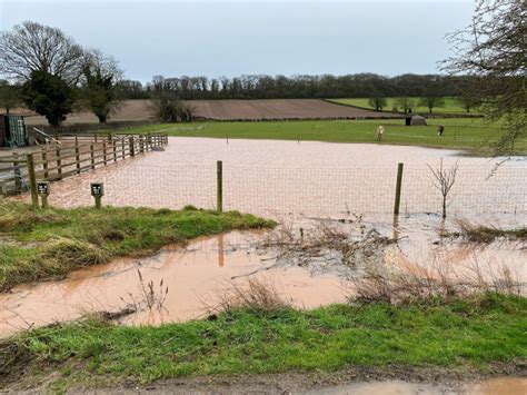 Image result for Compensatory Storage